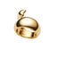 SAGENE Ring